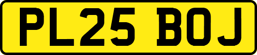PL25BOJ