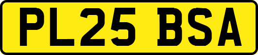 PL25BSA