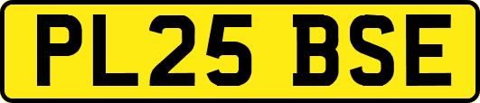 PL25BSE
