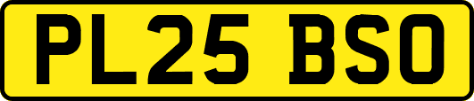 PL25BSO