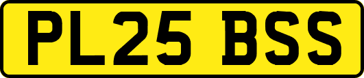 PL25BSS