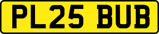 PL25BUB
