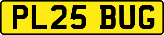 PL25BUG