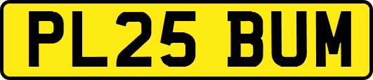 PL25BUM