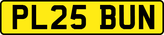 PL25BUN
