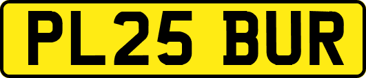PL25BUR