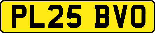 PL25BVO