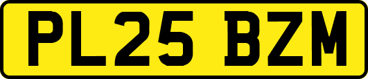 PL25BZM