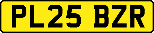 PL25BZR