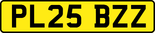 PL25BZZ