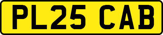 PL25CAB