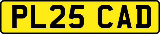 PL25CAD