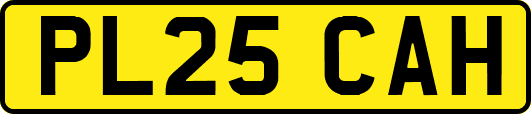 PL25CAH