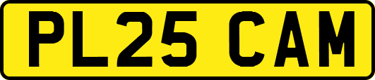 PL25CAM