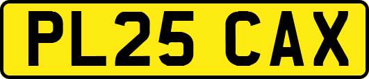 PL25CAX