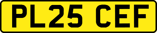 PL25CEF