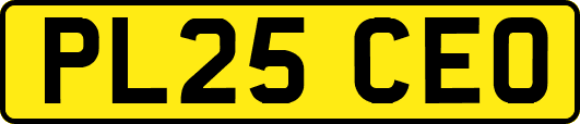 PL25CEO