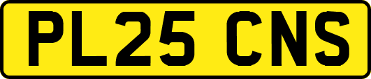 PL25CNS
