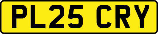 PL25CRY