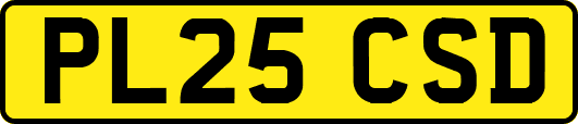 PL25CSD