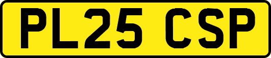 PL25CSP