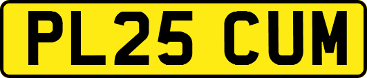 PL25CUM