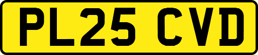 PL25CVD