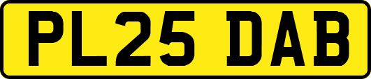 PL25DAB