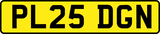 PL25DGN