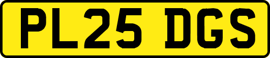 PL25DGS