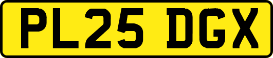 PL25DGX