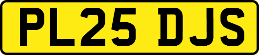 PL25DJS
