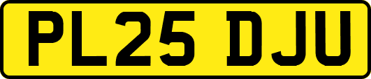 PL25DJU