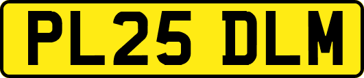 PL25DLM