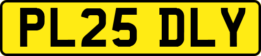 PL25DLY