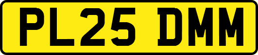 PL25DMM
