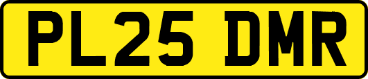 PL25DMR