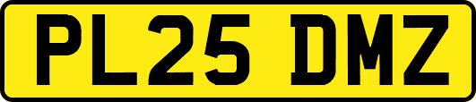PL25DMZ