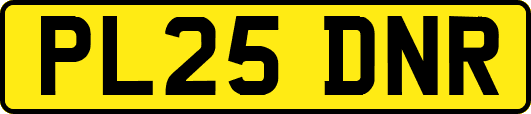 PL25DNR