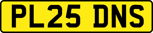 PL25DNS