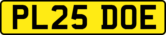 PL25DOE