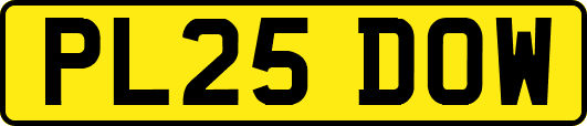 PL25DOW
