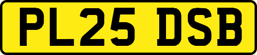 PL25DSB