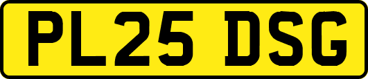 PL25DSG