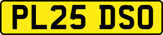PL25DSO