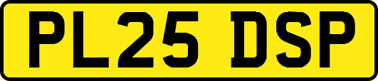 PL25DSP
