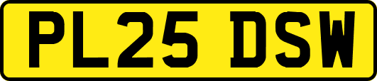 PL25DSW