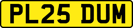 PL25DUM