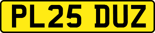 PL25DUZ