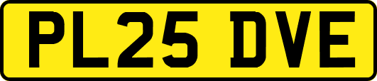 PL25DVE